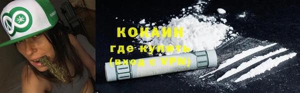дживик Алзамай