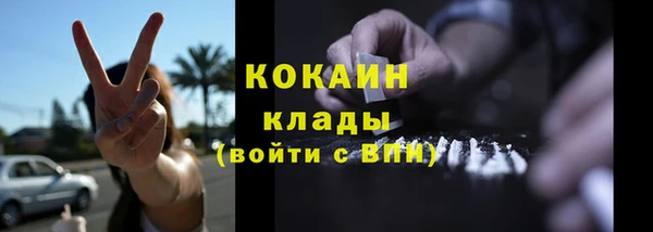 дживик Алзамай