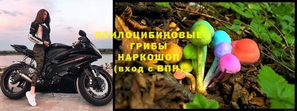 дживик Алзамай