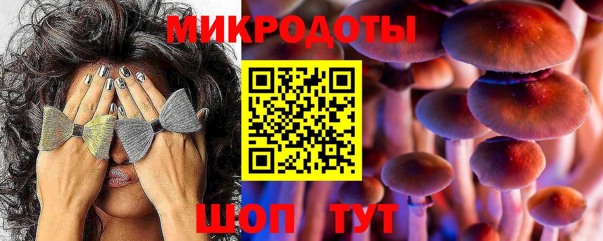 Псилоцибиновые грибы мицелий  Вход с VPN  Балашиха 