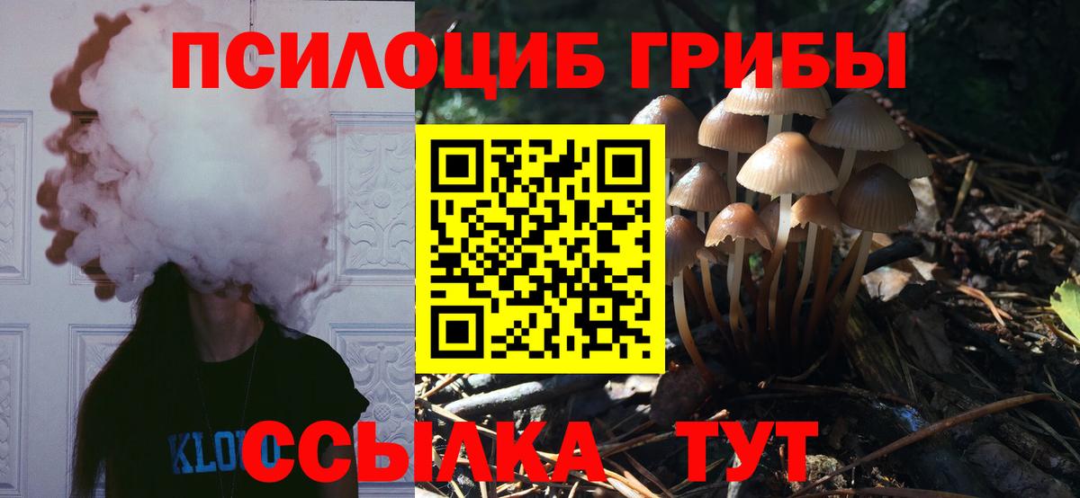 Галлюциногенные грибы мухоморы Балашиха